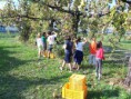 /album/gr-an-vendemmia/a100-8656-jpg/